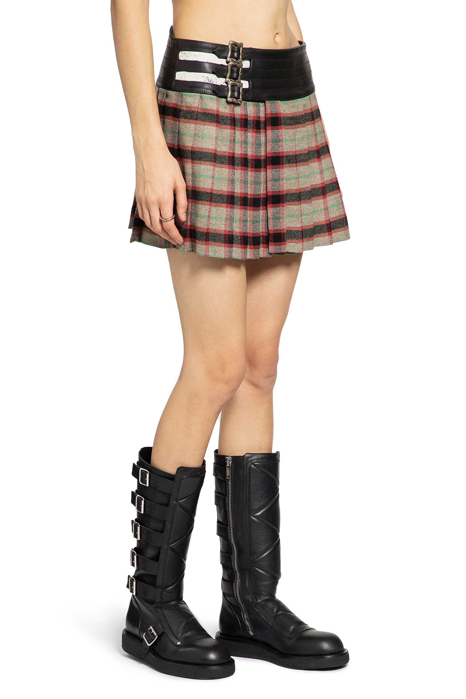 Dog in Restraint Skirt - Image 3